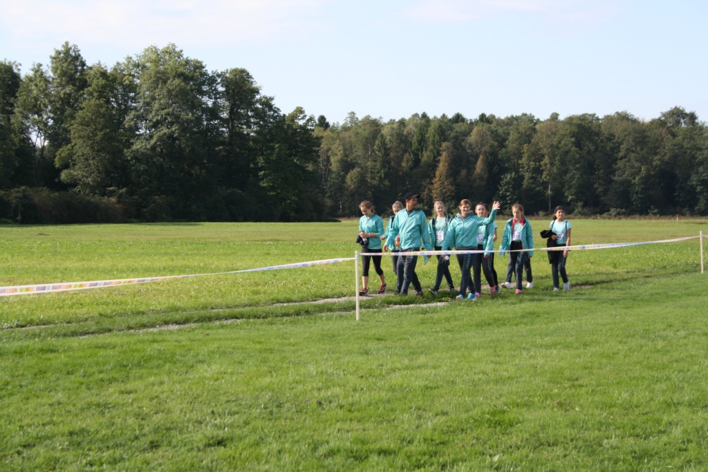 Bild 1 (65)